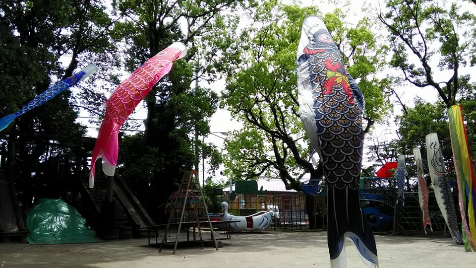 みゆき保育園　こいのぼり