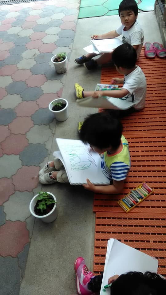 みゆき保育園　朝顔の種を植えました